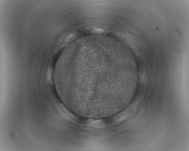 X0000111870185200908131620