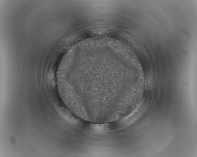 X0000111870187200908131620