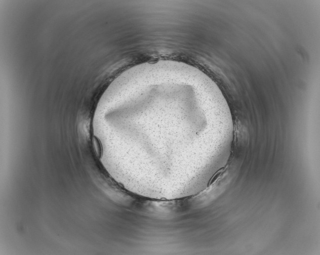 X0000111870188200908131620