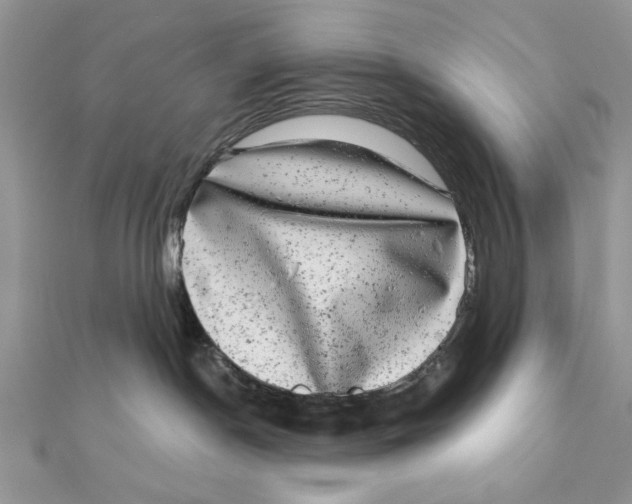 X0000111870190200908131620