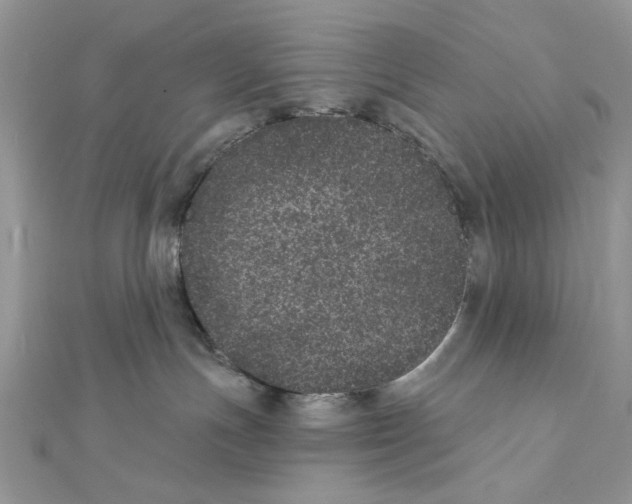 X0000111870191200908131620