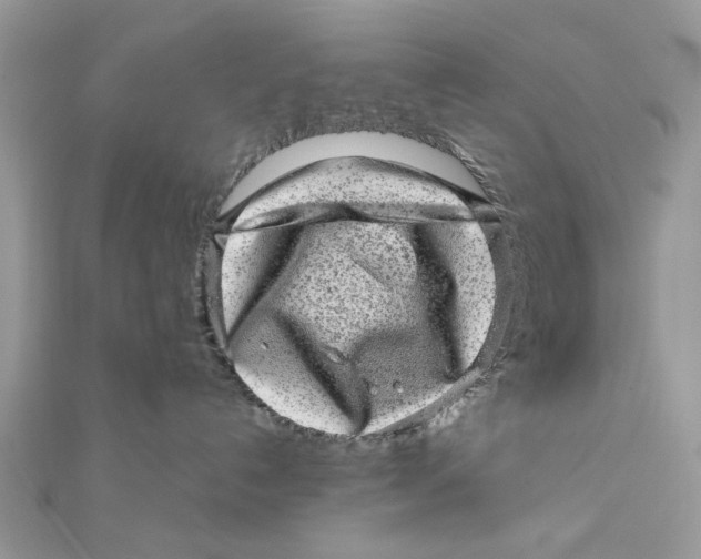 X0000111870192200908131620