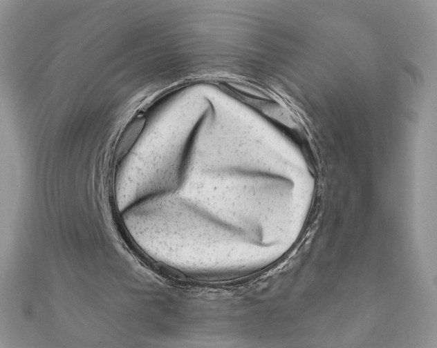 X0000111870193200908131619