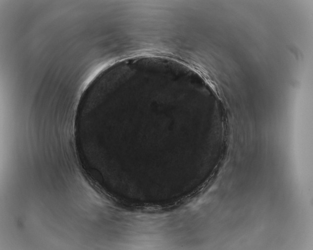 X0000111870196200908131619