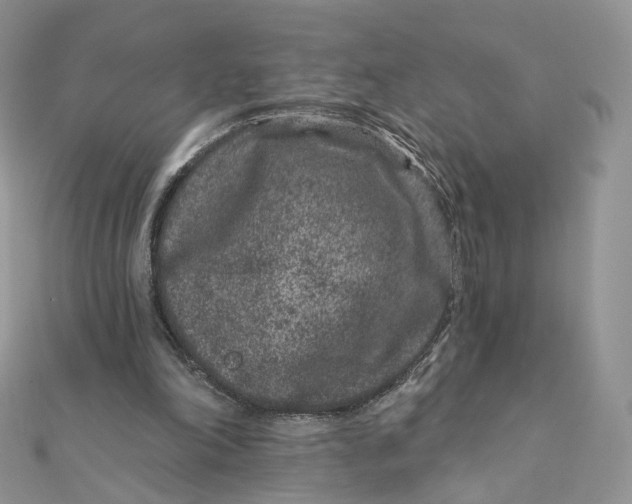 X0000111870198200908131619