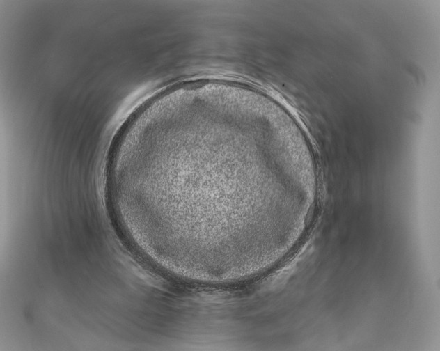 X0000111870199200908131619