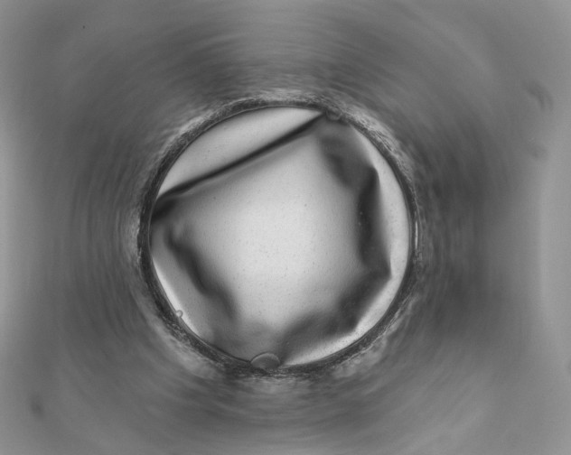 X0000111870201200908131619