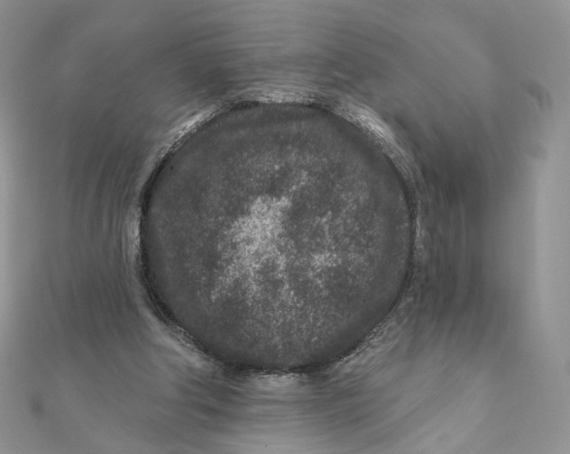 X0000111870202200908131619