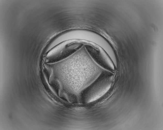 X0000111870203200908131619