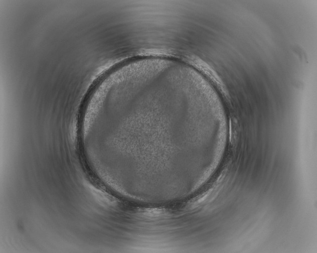 X0000111870204200908131619