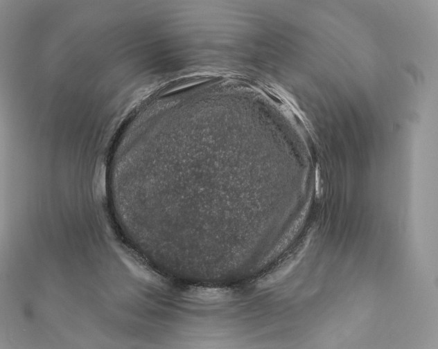 X0000111870205200908131619