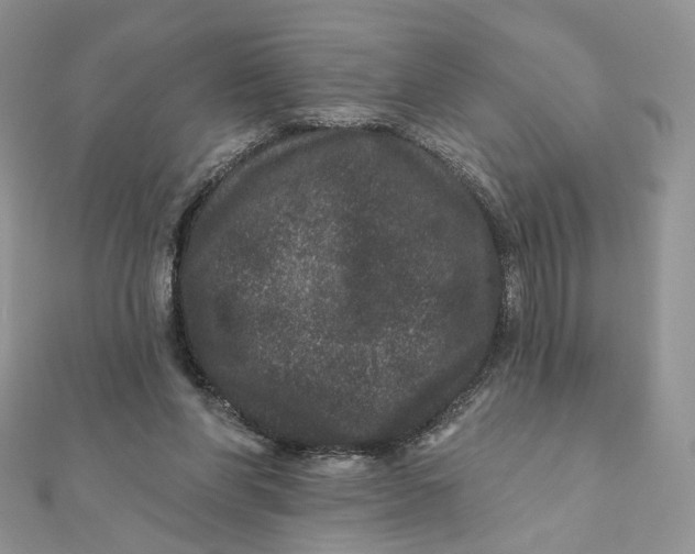 X0000111870206200908131619