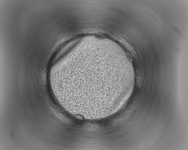 X0000111870207200908131619