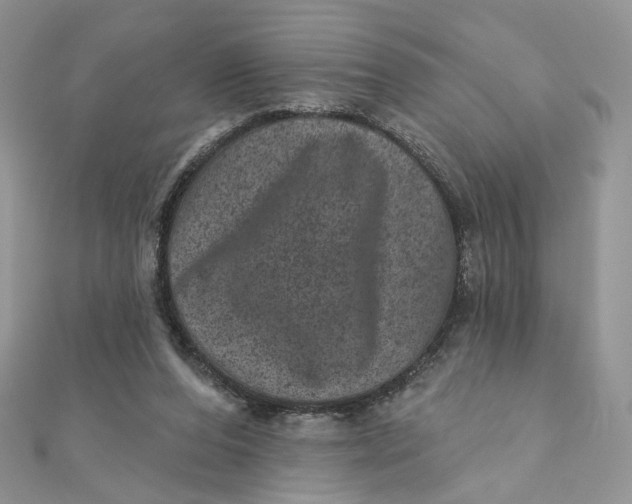 X0000111870208200908131619