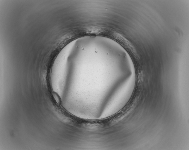 X0000111870209200908131619