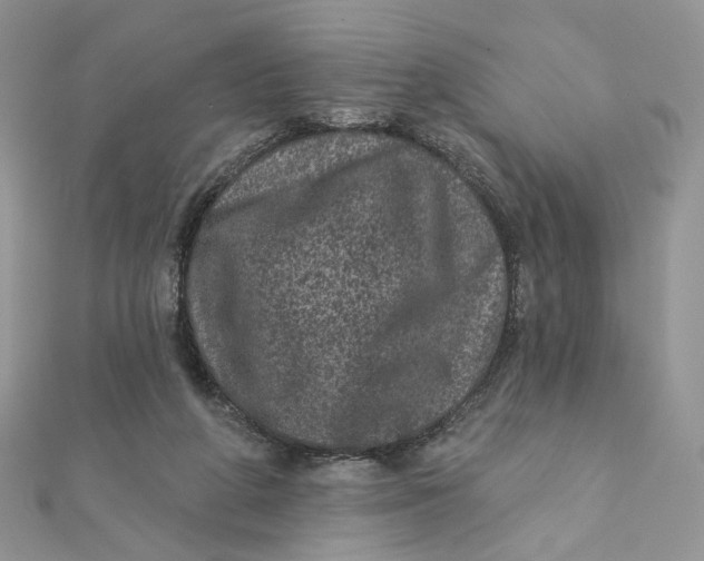 X0000111870210200908131619