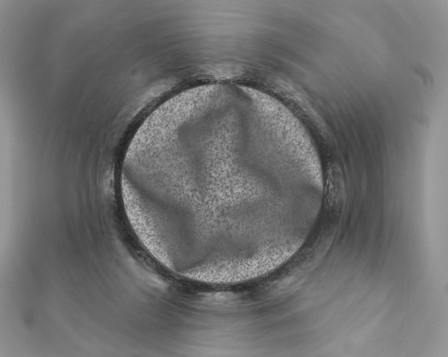 X0000111870212200908131619