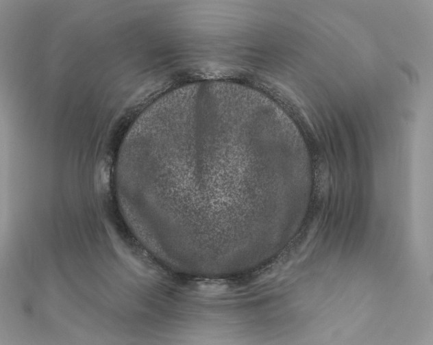 X0000111870214200908131619