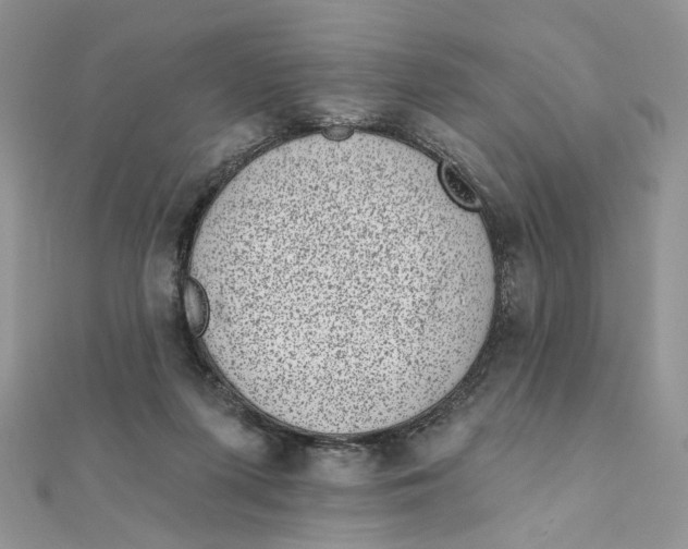 X0000111870215200908131619