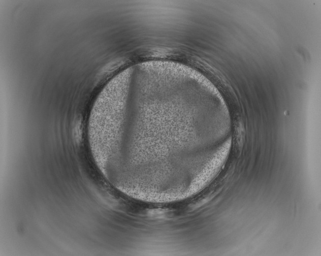 X0000111870216200908131619