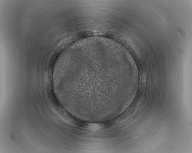 X0000111870218200908131619