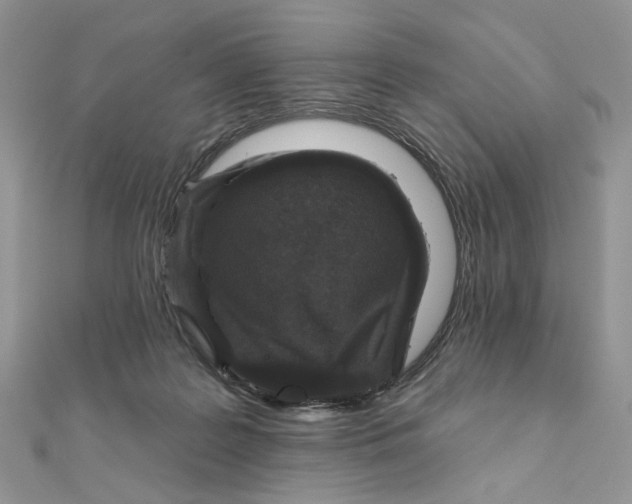 X0000111870219200908131619