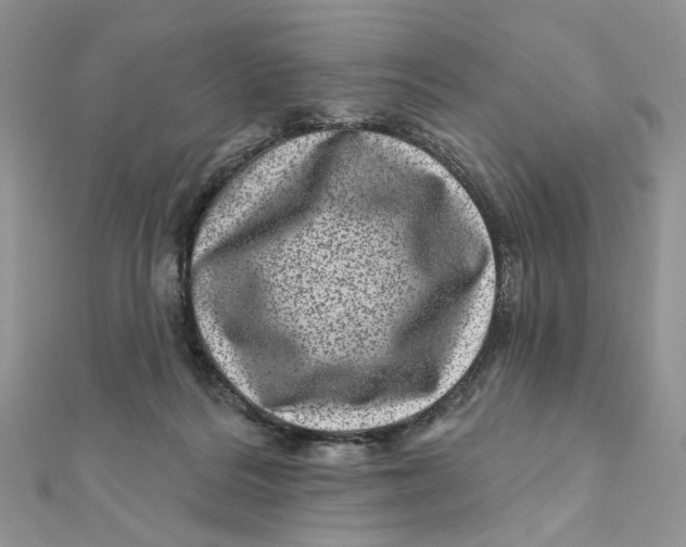 X0000111870220200908131619