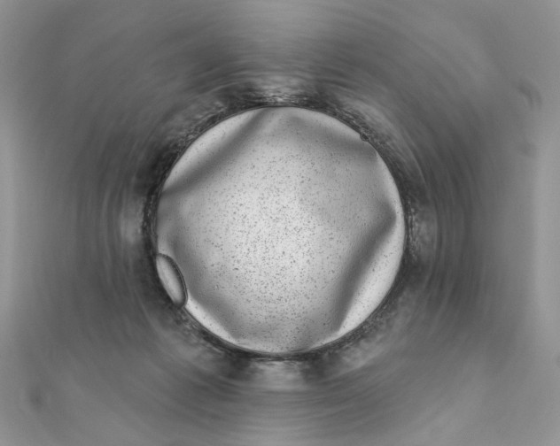 X0000111870221200908131619