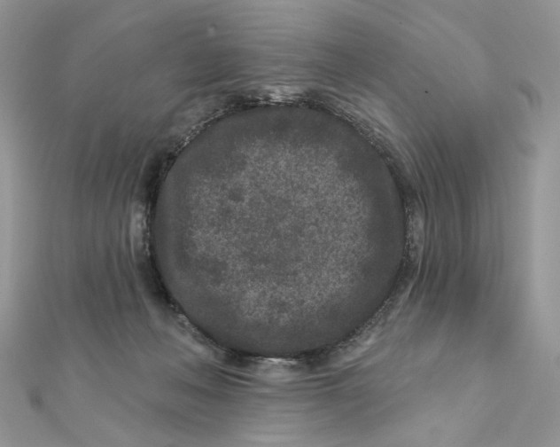 X0000111870222200908131619