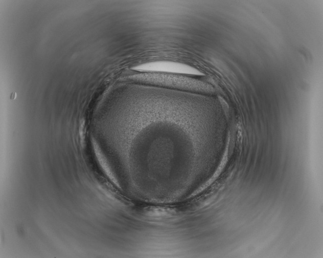 X0000111870223200908131619