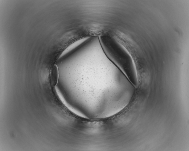 X0000111870225200908131619