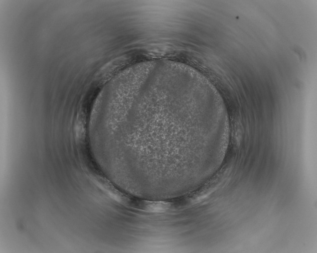 X0000111870226200908131619