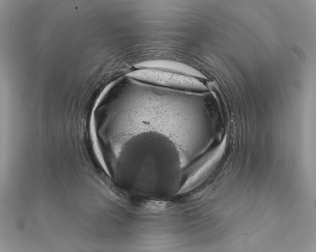 X0000111870227200908131619