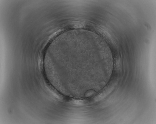 X0000111870228200908131619