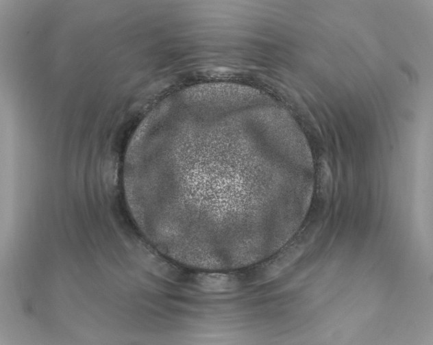 X0000111870230200908131618