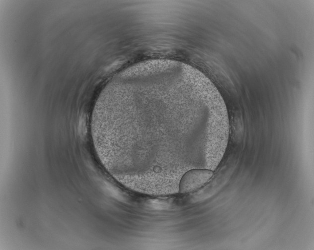 X0000111870232200908131618