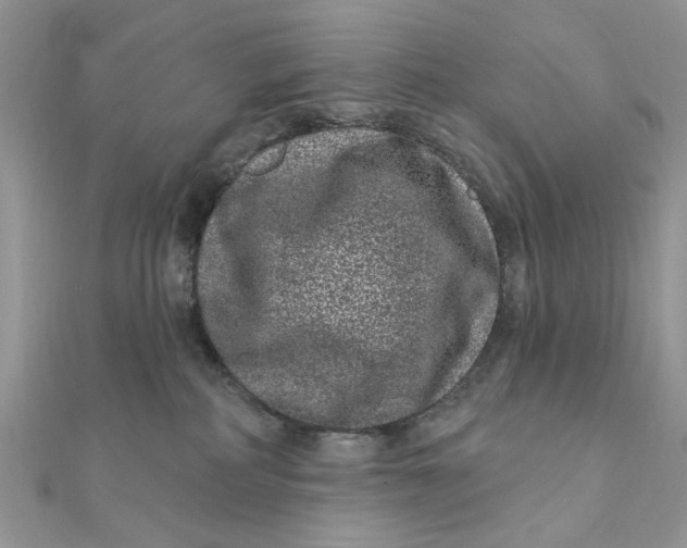 X0000111870234200908131618