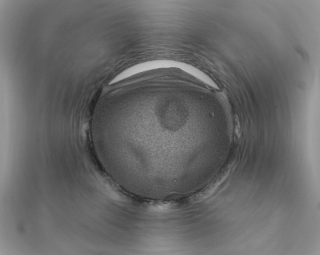 X0000111870235200908131618