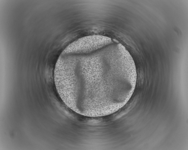 X0000111870236200908131618