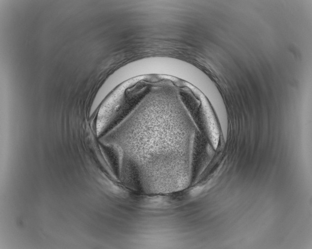 X0000111870237200908131618