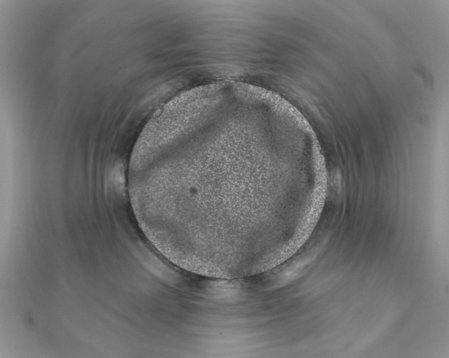 X0000111870238200908131618