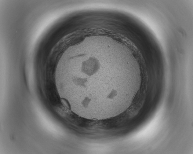 X0000111870239200908131618