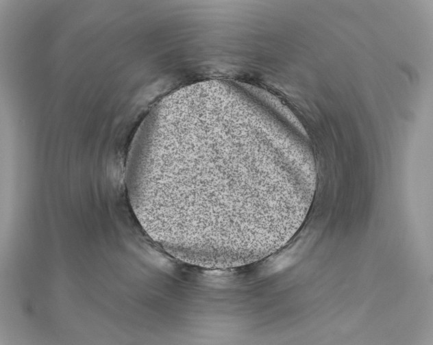 X0000111870240200908131618