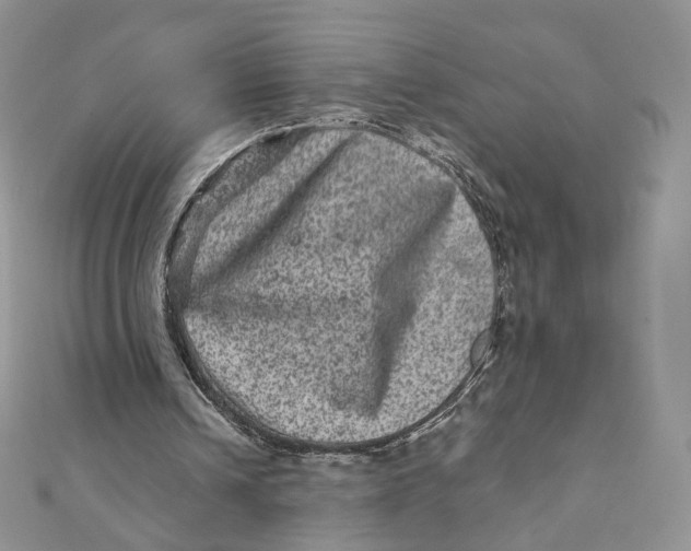 X0000111870242200908131617