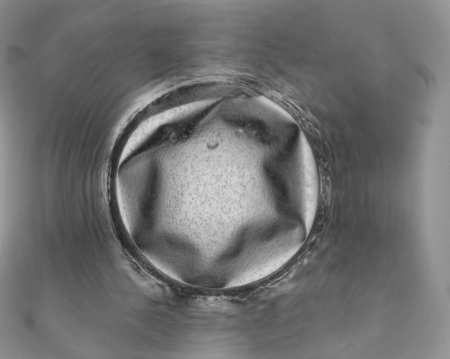 X0000111870244200908131617