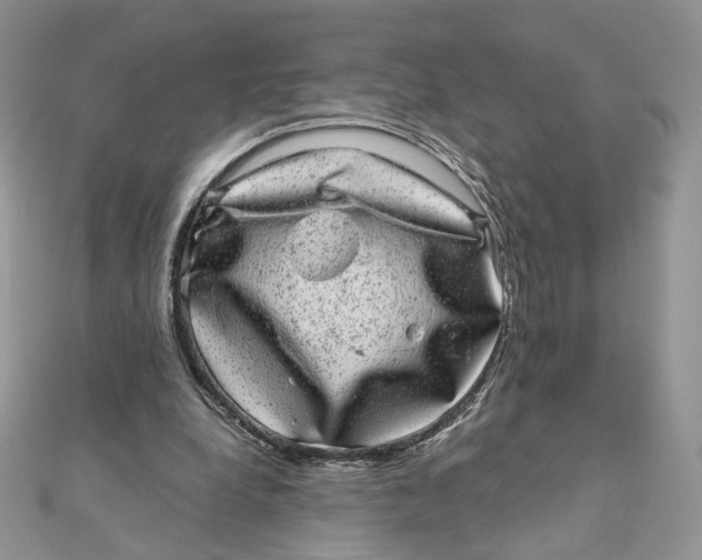 X0000111870248200908131618