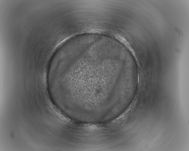 X0000111870249200908131618