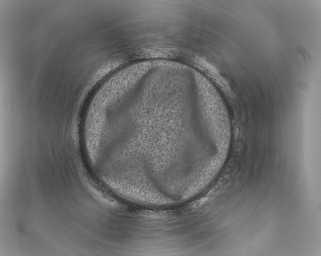 X0000111870250200908131618