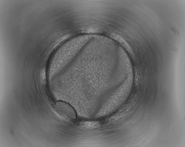 X0000111870251200908131618