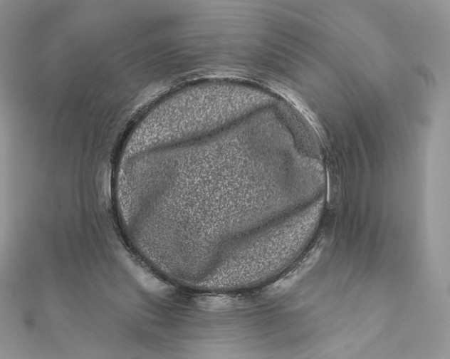 X0000111870253200908131618